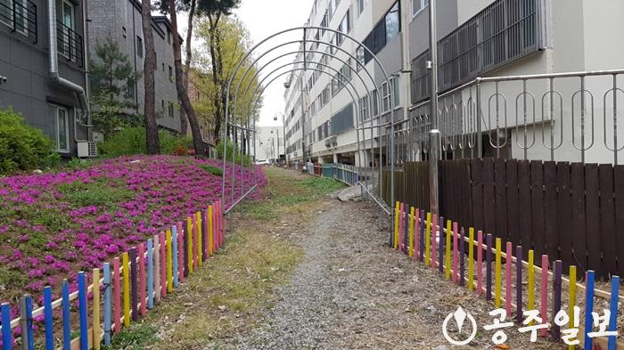 신관동 아름다운 정원 마을길 가꾸기 사진.jpg
