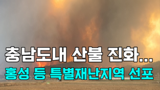 [영상] 충남도내 산불 진화 홍성 등 특별재난지역 선포